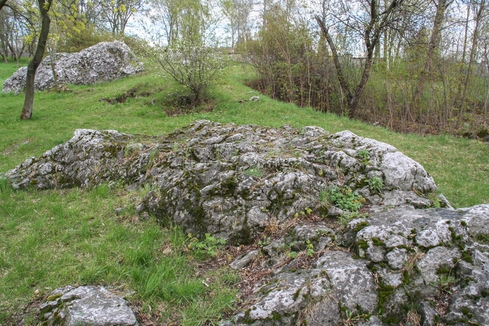 Występy i ścianki skalne znajdujące się  przy cmentarzu nowym w Kielcach, będące pozostałością po kamieniołomie „Barwinek”, 2017 r. 
